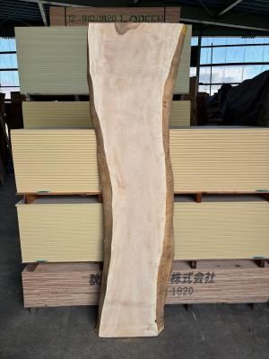 栃（トチ）一枚板テーブル用がたくさん展示 埼玉県 木の店木楽