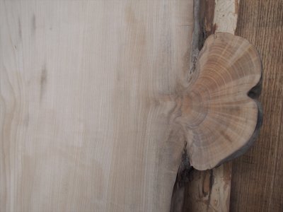 栓 高級ダイニングテーブル天板に最適 - 一枚板専門店「木の店木楽」ー ...