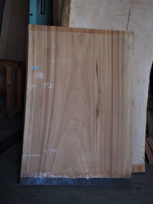 楠（くす）一枚板テーブル用がたくさん展示 埼玉県 木の店木楽