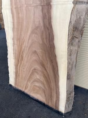 モンキーポット　一枚板　未加工　DIY モンキーポット一枚板セット加工あり 無塗装DIY