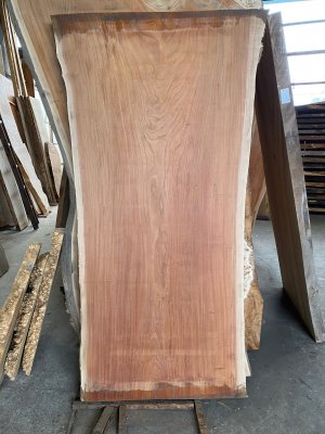 欅（ケヤキ）一枚板テーブル用がたくさん展示 埼玉県 木の店木楽