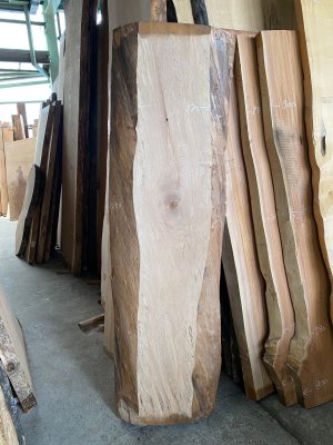 銀杏（いちょう）一枚板テーブル用がたくさん展示 埼玉県 木の店木楽