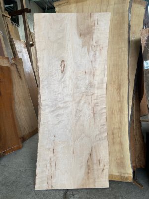 楓（かえで）一枚板テーブル用がたくさん展示 埼玉県 木の店木楽