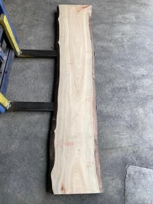楠木天板 両端仕様 190×65〜43板厚6.4前後 楠木天板 両端仕様 190×65〜43板厚6.4前後