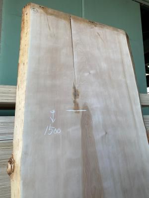 栃一枚板ダイニング天板 | 白く美しい木材 - 一枚板専門店「木の店木楽