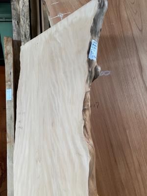 コウヤマキ天板材 | 原木デスク用 - 一枚板専門店「木の店木楽」ー材木