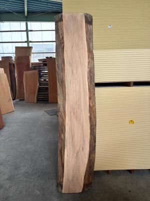 桂一枚板 - 一枚板専門店「木の店木楽」ー材木店ならではの豊富な品揃