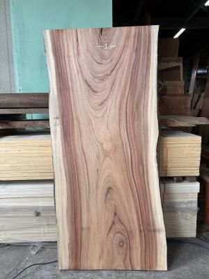 楠（くす）一枚板テーブル用がたくさん展示 埼玉県 木の店木楽