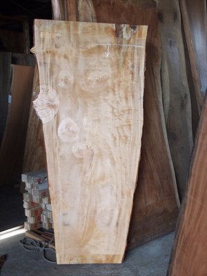 栃（トチ）一枚板テーブル用がたくさん展示 埼玉県 木の店木楽