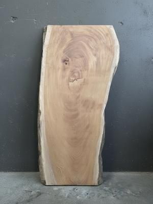 ݰ�������ĥơ��֥롡ŷ��