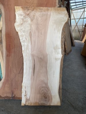 栃（トチ）一枚板テーブル用がたくさん展示 埼玉県 木の店木楽