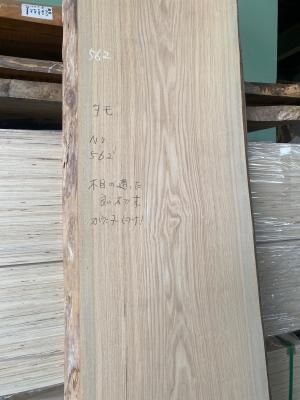 タモ一枚板 | カウンター材 | L2450mm - 一枚板専門店「木の店木