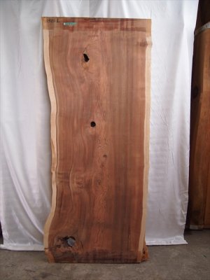 杉（スギ）一枚板テーブル用がたくさん展示 埼玉県 木の店木楽