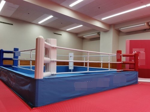 TAISHAN ボクシング・リング トレーニング用/5×5m - ボクシング 