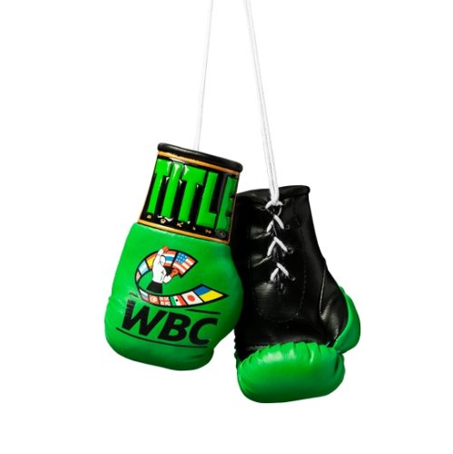 TITLE(タイトル) WBC ミニ・ボクシンググローブ 5インチ(12.7cm