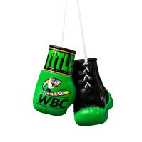 TITLE(ȥ) WBC  ߥˡܥ󥰥 5(12.7cm )/꡼