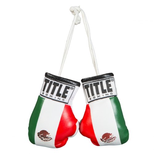 TITLE(タイトル) ミニ・ボクシンググローブ 3.5インチ(8.89cm 