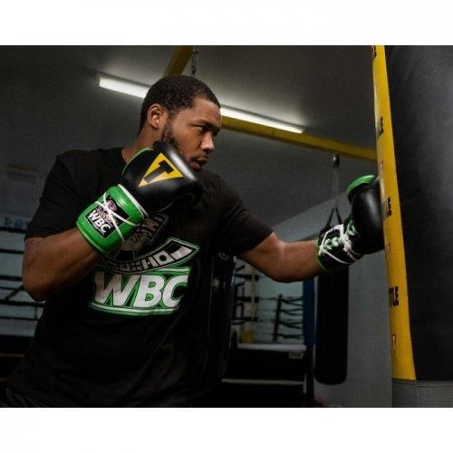 TITLE スパーリンググローブ 14オンス WBCモデル ボクシング