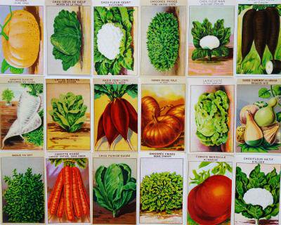 フランス 野菜の種のラベル 3枚 - Ju-co 海外紙もの・輸入雑貨