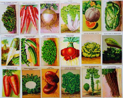 フランス 野菜の種のラベル 3枚 - Ju-co 海外紙もの・輸入雑貨