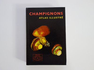 フランス きのこ図鑑 CHAMPIGNONS ATLAS - Ju-co 海外紙もの・輸入雑貨