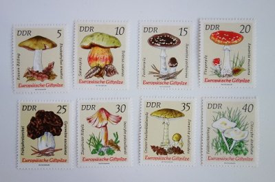 ドイツ きのこの切手 1974 - Ju-co 海外紙もの・輸入雑貨・ラッピング 