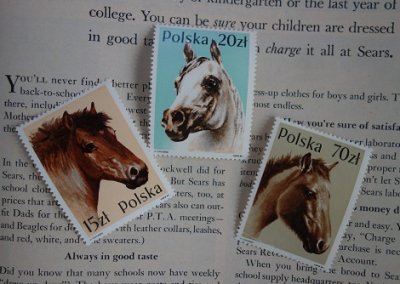 ポーランド 馬の切手 - Ju-co 海外紙もの・輸入雑貨・ラッピング用品 ...