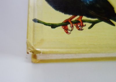 チェコの古い鳥類図鑑(NASE CHRANENE A UZITECNE PTACTVO 1959年 