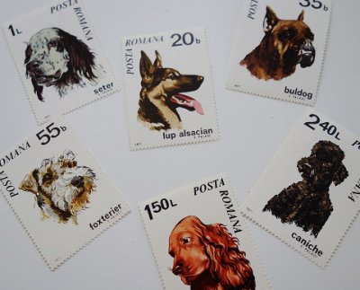 ルーマニア 犬の切手 - Ju-co 海外紙もの・輸入雑貨・ラッピング用品