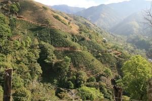 ꥫ쥹ȥͥ롦ȡSL28ƥȡ200g