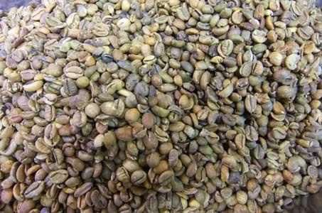 リベリカコーヒー100g リベリカコーヒー100g