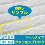 Ωɻ󥬥åå֥å[ab-005-sam] ץ y3