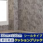 Ωɻ󥬥åå֥å[fb-008]