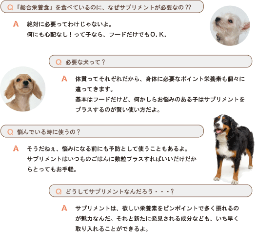 犬用サプリメント ナチュラルハーベスト クリルオイル 35粒 次世代型オメガ３脂肪酸