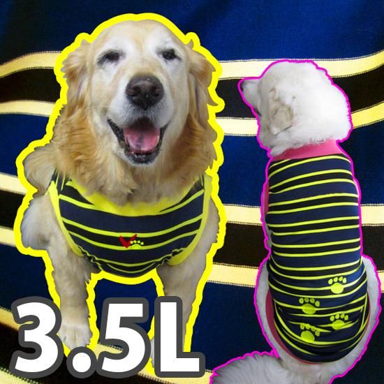犬服・ドッグウェア ドッグタンクトップ ～紺×黄ボーダー（肉球