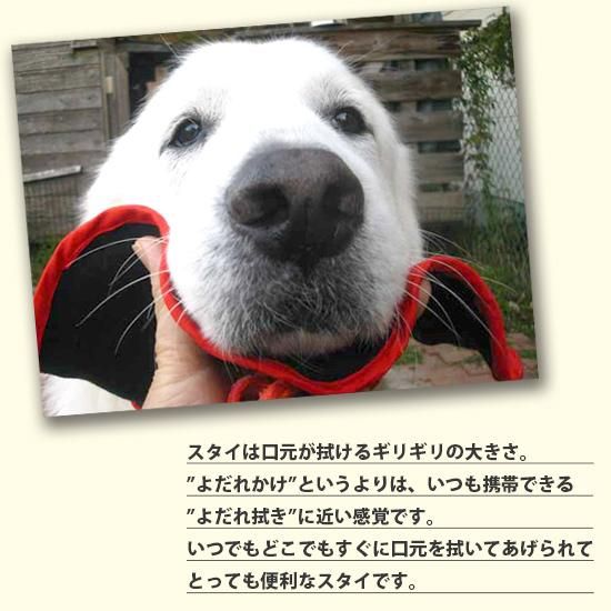 犬用スタイ よだれかけ リボンタイプ お花とお名前 ｌサイズ