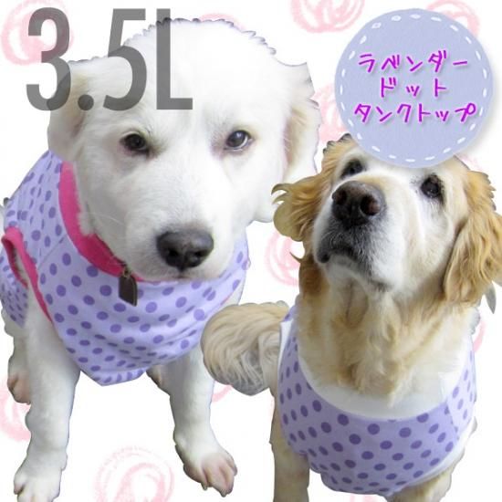 犬服 いぬ服 ドッグタンクトップ ラベンダードット 3 5lサイズ 超大型犬 日本製