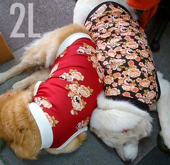 犬服 いぬ服 ドッグタンクトップ お正月や晴れの日に 狛犬 全面プリントタンクトップ 和柄 2lサイズ 大型犬