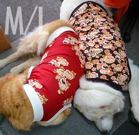 犬服 いぬ服 ドッグタンクトップ お正月や晴れの日に 狛犬 全面プリントタンクトップ 和柄 M Lサイズ 中型犬