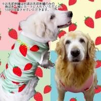 フルーツ柄 大型犬用ドッグウェア ドッググッズの通販専門店 愛犬とママの店 ママブイ フルーツ柄 大型犬用ドッグウェア ドッググッズの通販専門店 愛犬とママの店 ママブイ