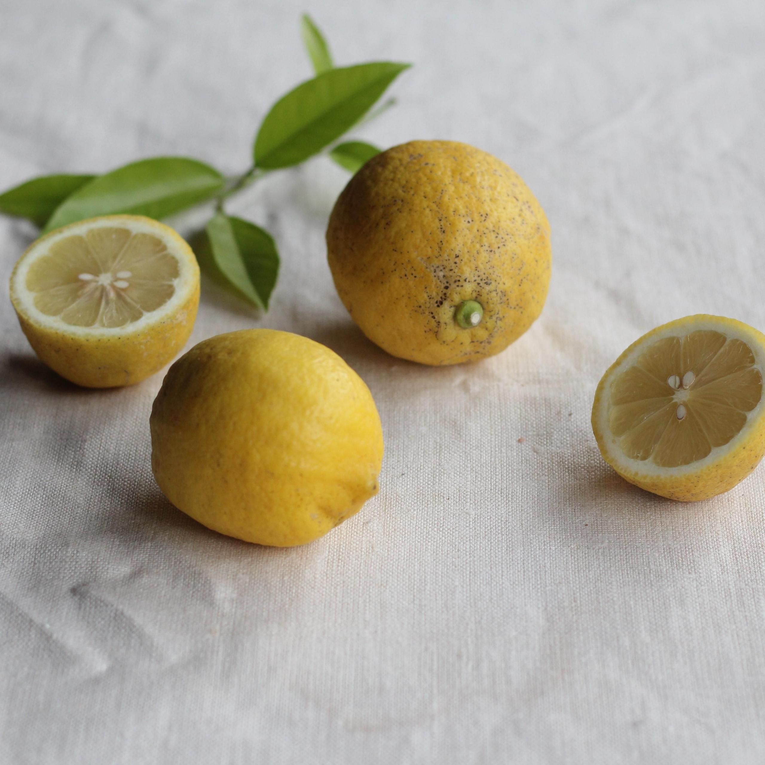 Իѡۥ󡡣ԡkg10kg<img class='new_mark_img2' src='https://img.shop-pro.jp/img/new/icons61.gif' style='border:none;display:inline;margin:0px;padding:0px;width:auto;' />