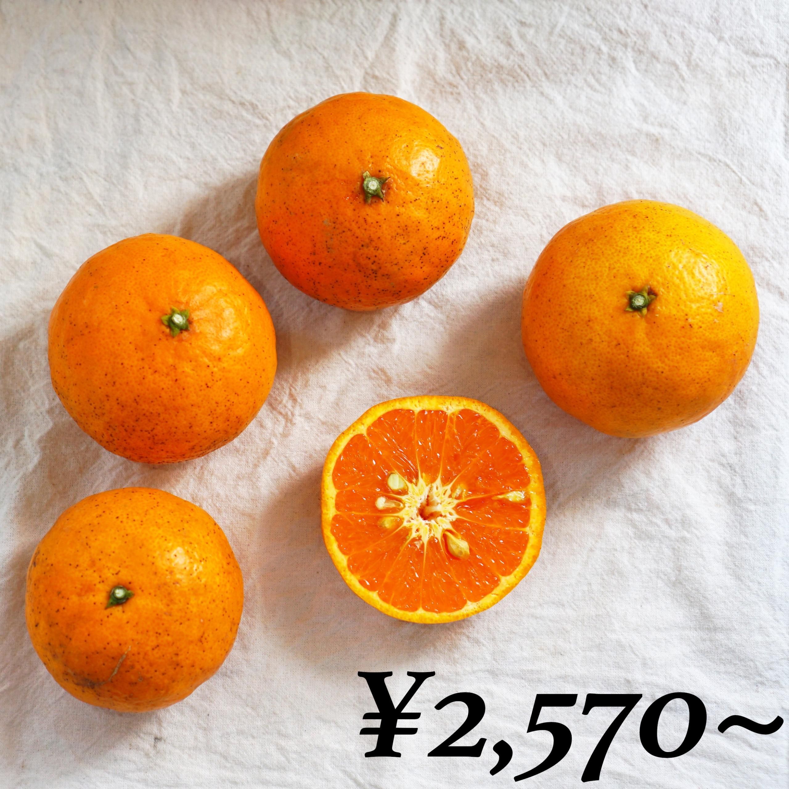 ݡۥޥ󡡣kgkg10kg<img class='new_mark_img2' src='https://img.shop-pro.jp/img/new/icons61.gif' style='border:none;display:inline;margin:0px;padding:0px;width:auto;' />