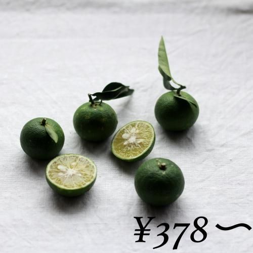 農薬不使用 すだち 0g 500g くつな商店 忽那諸島の柑橘 海藻 ガラス細工 Tシャツ Cdなど販売しています 農薬不使用 すだち 0g 500g くつな商店 忽那諸島の柑橘 海藻 ガラス細工 Tシャツ Cdなど販売しています