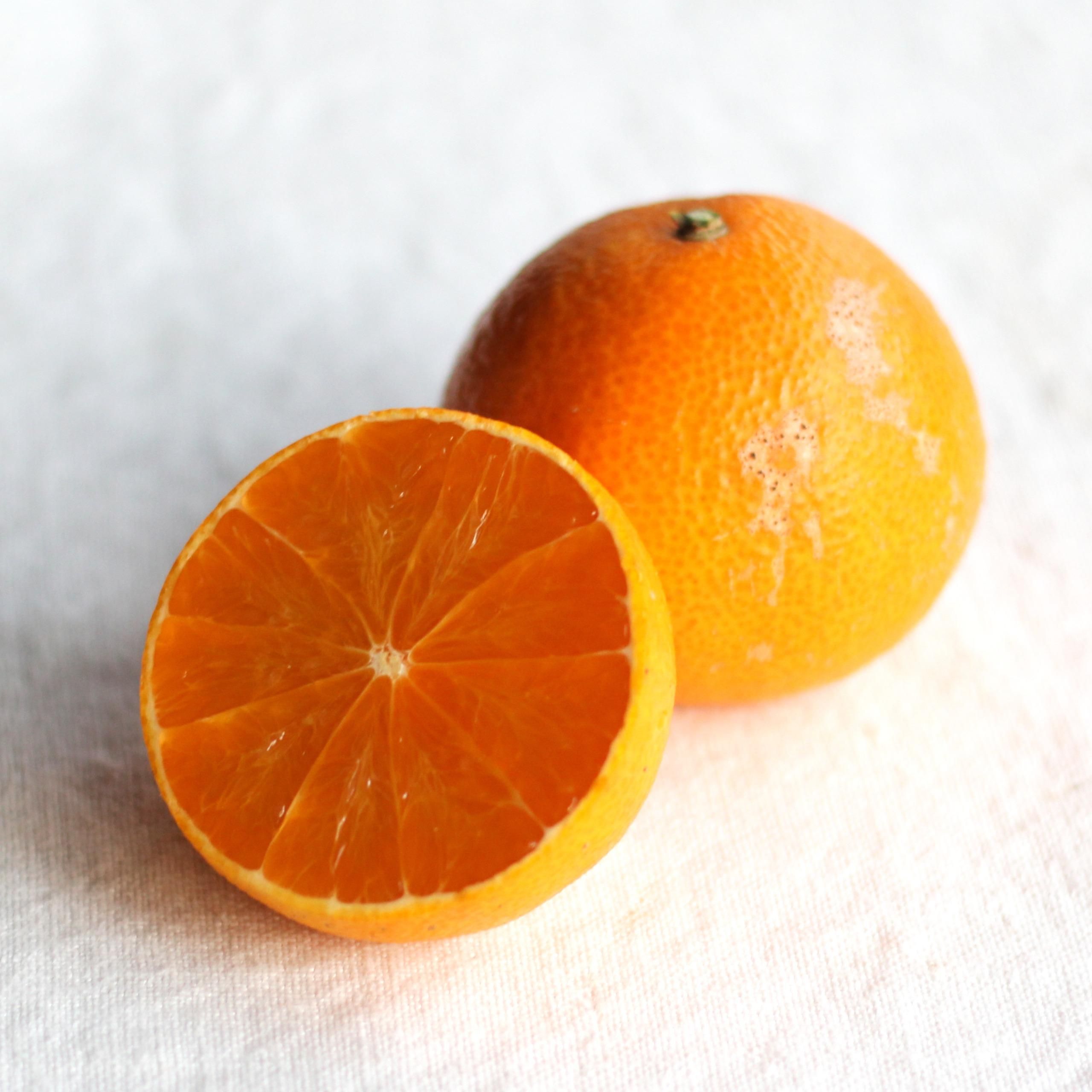 ڤͽʡ12ܤϡϪϺݤΡؤĤʤޤɤʡ٣kgkg<img class='new_mark_img2' src='https://img.shop-pro.jp/img/new/icons61.gif' style='border:none;display:inline;margin:0px;padding:0px;width:auto;' />