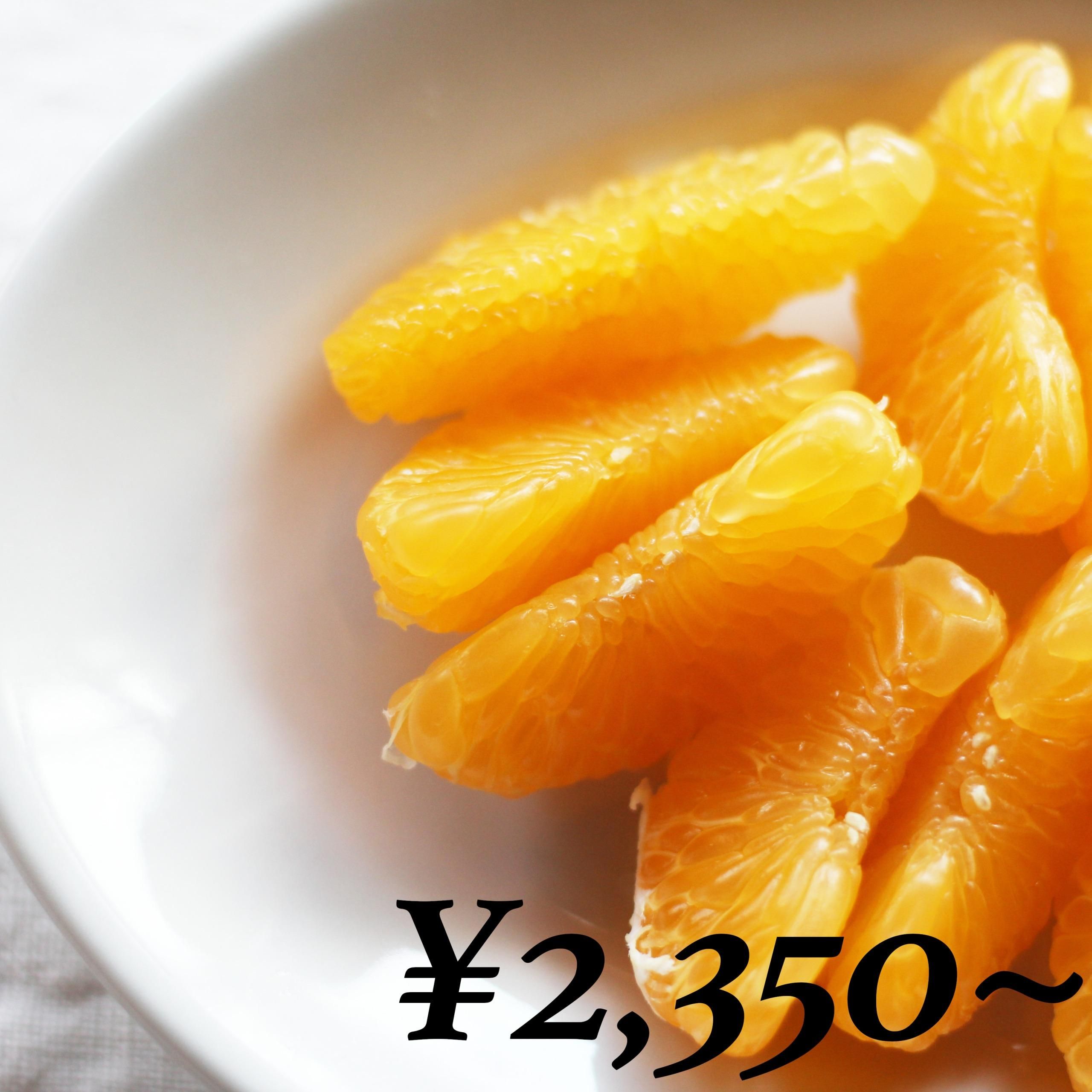 ムッキーちゃんつき 低農薬栽培 いよかん ２kg ４kg ９kg くつな商店 忽那諸島の柑橘 海藻 ガラス細工 Tシャツ Cdなど販売しています