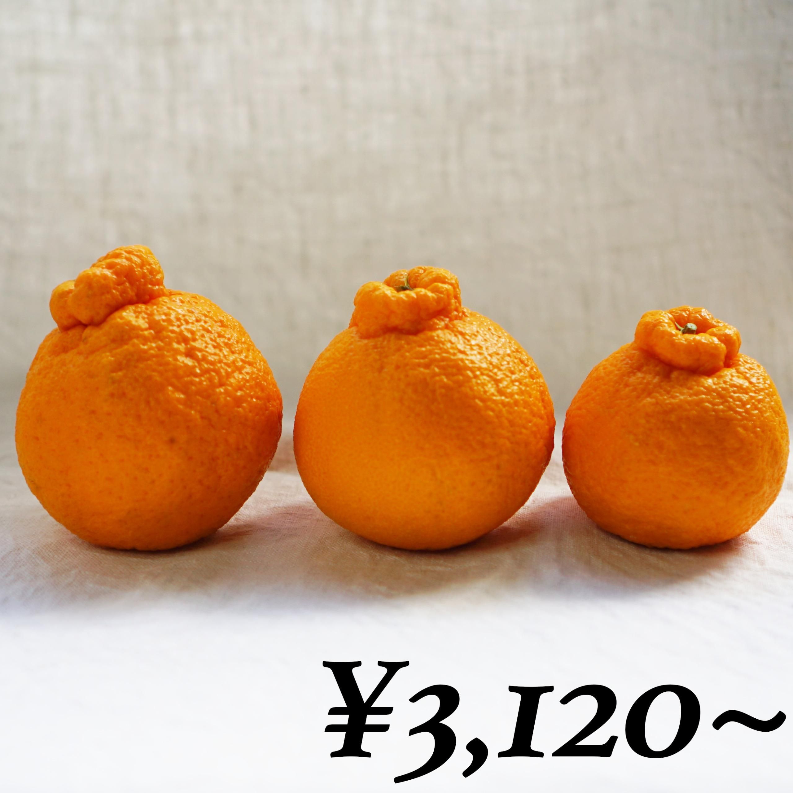 βСʤ̤ˡkgkgkg     <img class='new_mark_img2' src='https://img.shop-pro.jp/img/new/icons61.gif' style='border:none;display:inline;margin:0px;padding:0px;width:auto;' />