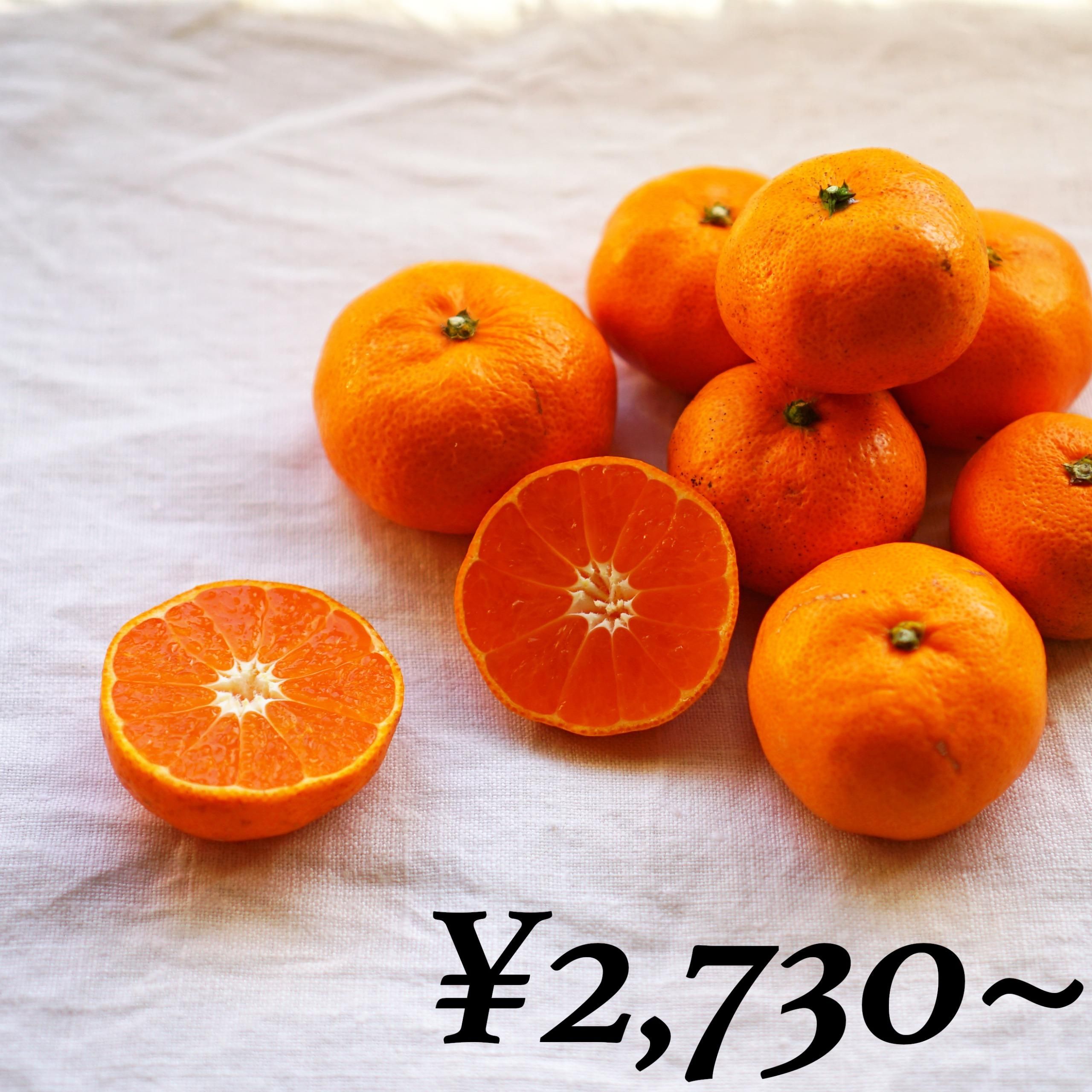 みかん。出品 八ちゃん堂 むかん 2個入（1袋2個入／1個50g） 外皮をむいた冷凍