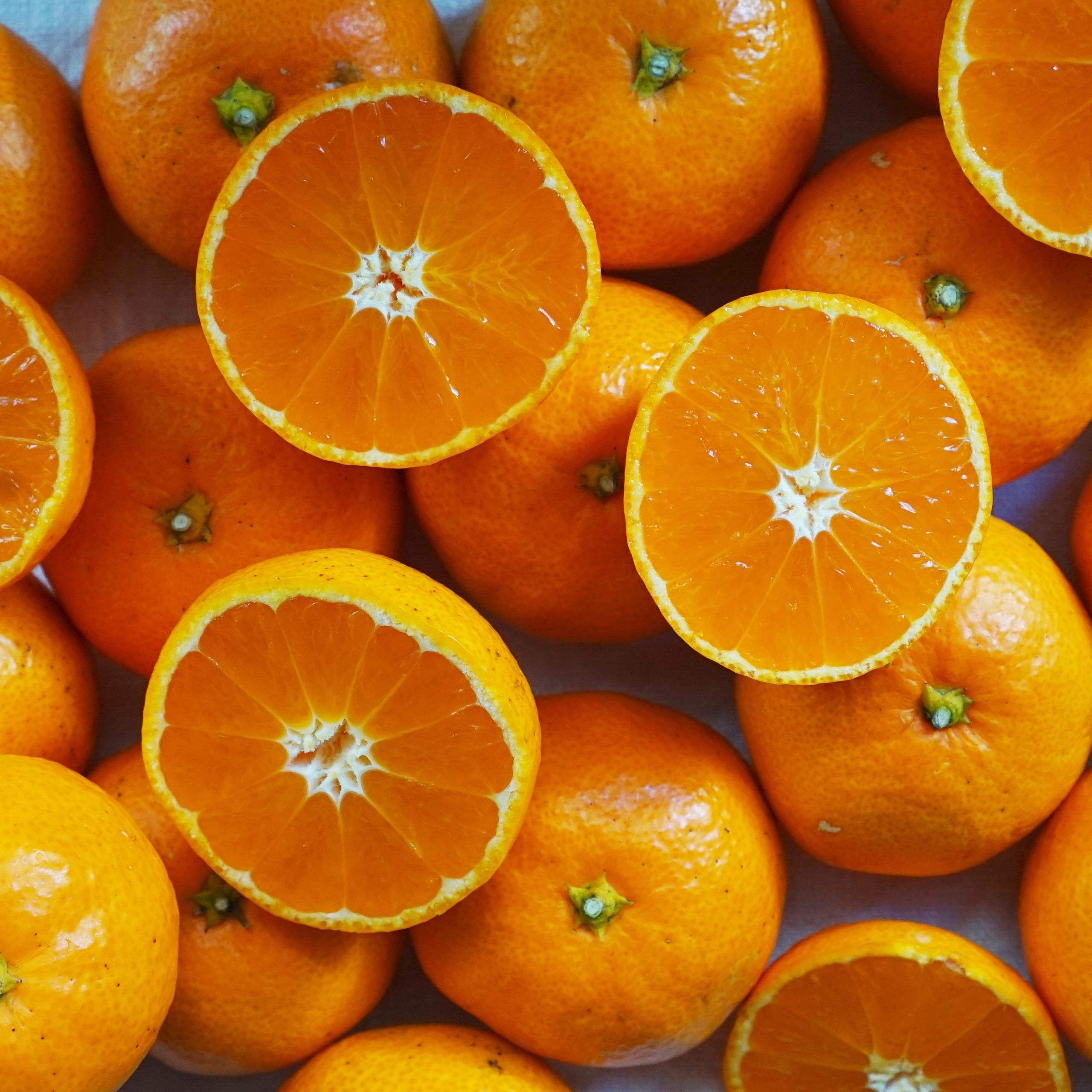 ڤͽۡ11ܤϡ۵kgkg10kg<img class='new_mark_img2' src='https://img.shop-pro.jp/img/new/icons61.gif' style='border:none;display:inline;margin:0px;padding:0px;width:auto;' />