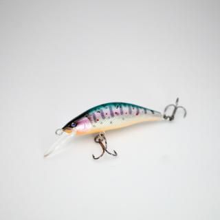 レイチューン セミハンドメイドルアー - RayTune.jp