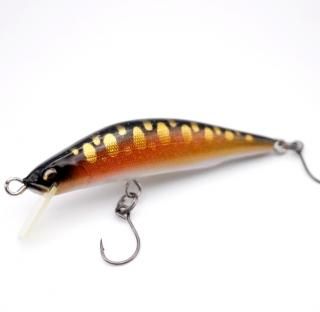 DP50RRMK3G饯
